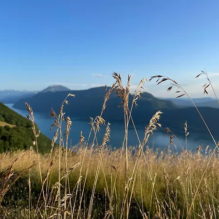 Au Cafe De Jeanne - Entrelacs